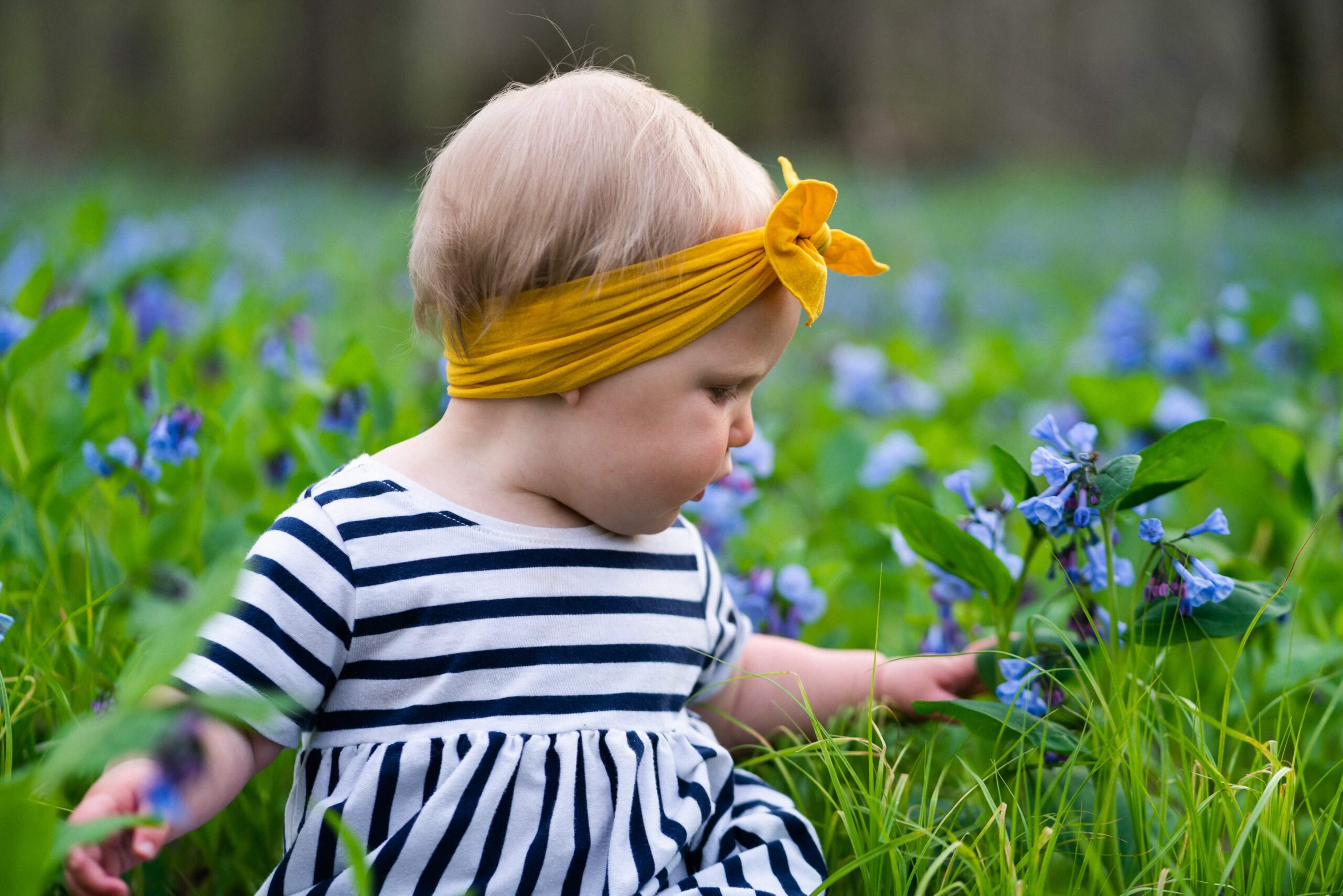 Baby sitting in a field of BlueBells at Katoski Park in Waterloo, Iowa.